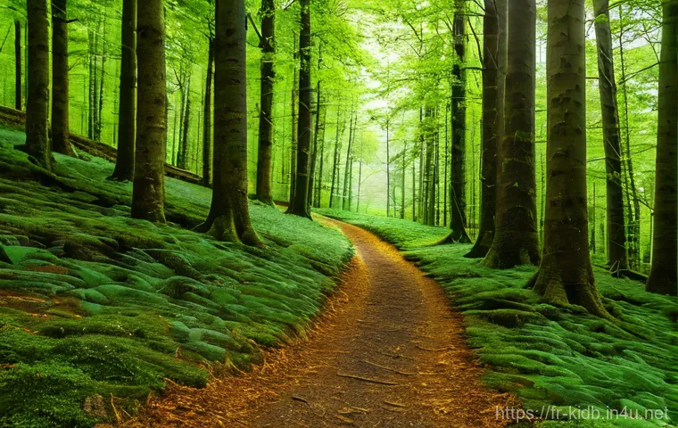 아동용 스포츠 샌들 브랜드 - Here are three detailed image generation prompts in English, designed to meet your requirements: